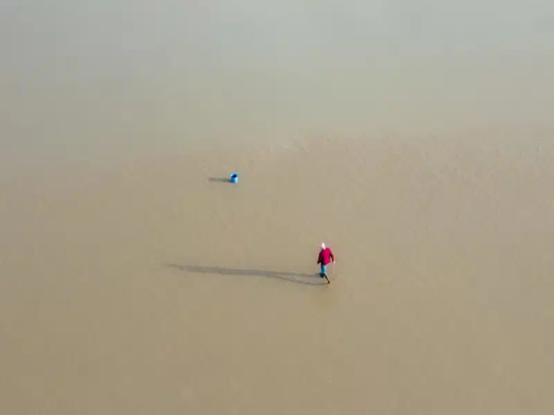 Présentation Images Projetées de photos réalisées en 2024